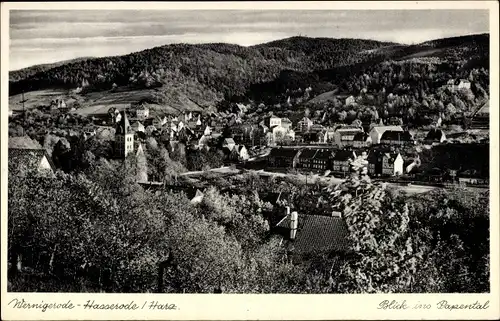 Ak Hasserode Wernigerode am Harz, Blick ins Papental, Kirchturm