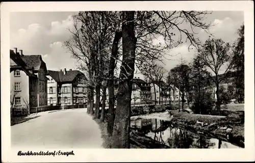 Ak Burkhardtsdorf im Erzgebirge, Straßenpartie, Gewässer