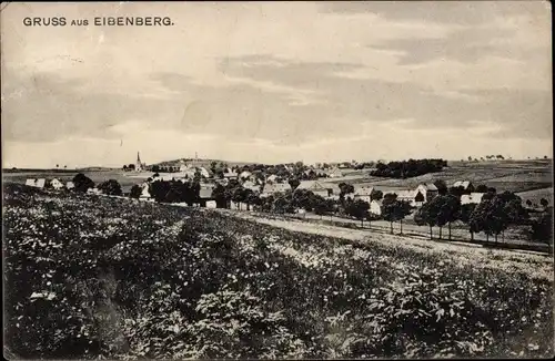 Ak Eibenberg Burkhardtsdorf im Erzgebirge Sachsen, Totalansicht des Ortes