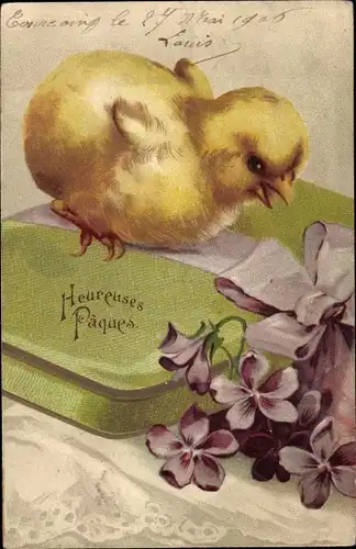 Litho Frohe Ostern, Küken, Geschenk mit Schleife, Blumen