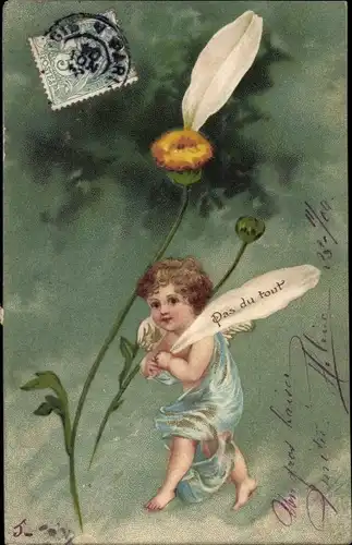 Präge Litho Engel, Weiße Blume, Blumenblätter