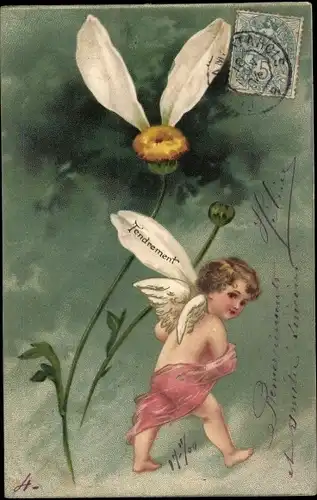 Präge Litho Engel, Weiße Blume, Blumenblätter