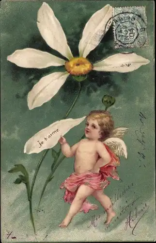 Präge Litho Engel, Weiße Blume, Blumenblatt