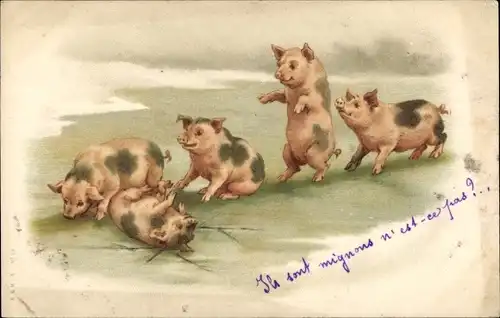 Litho Spielende Schweine, Tiere