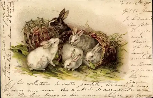 Litho Ak Kaninchen-Familie, Körbe