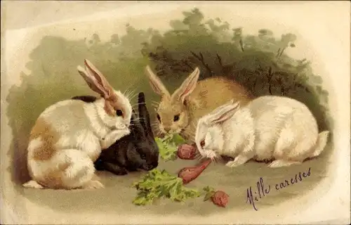Litho Ak Kaninchen-Familie, Fütterung, Möhren
