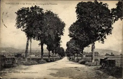 Ak Vincelles Yonne, La Route de Coulanges la Vineuse