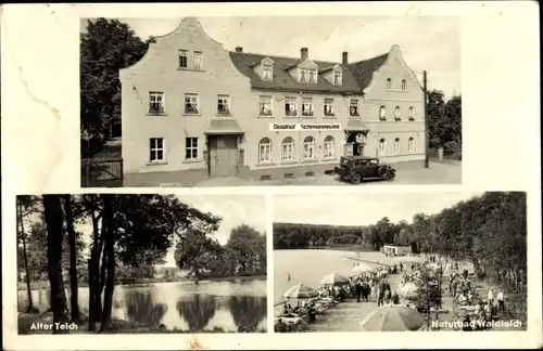 Ak Dahlen in Sachsen, Gasthof Schmannewitz, Alter Teich, Naturbad Waldteich