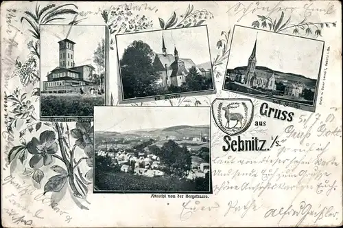 Ak Sebnitz in Sachsen, Grenadierburg, Ev. Kirche, Kath. Kirche, Gesamtansicht