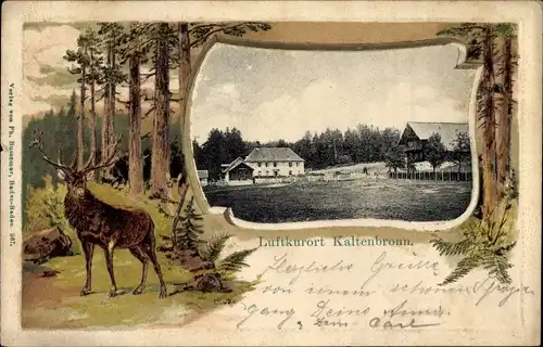 Präge Litho Kaltenbronn Gernsbach im Murgtal Schwarzwald, Gasthaus, Waldpartie, Hirsch