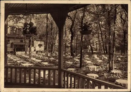 Ak Mannheim in Baden, Waldparkrestaurant am Stern