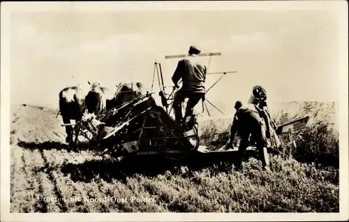 Ak Noordoostpolder Flevoland, Bauern mit Erntemaschine auf dem Feld