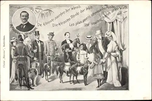 Ak Die kleinsten Pferde der Welt, Direktor A. Kreiser