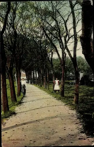 Ak Harlingen Friesland Niederlande, Singel