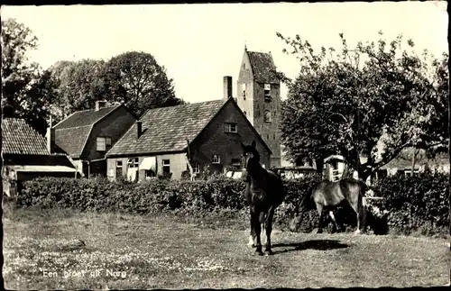 Ak Norg Drenthe, Kirche, Häuser, Pferde