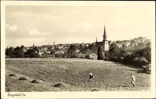 Ak Burgstädt in Sachsen, Panorama, Felder, Kirche