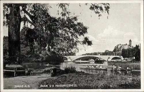 Ak Halle an der Saale, Blick von der Peissnitzspitze, Brücke, Ruderer