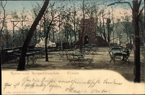 Ak Nossen in Sachsen, Ruine vom Bergschlösschen