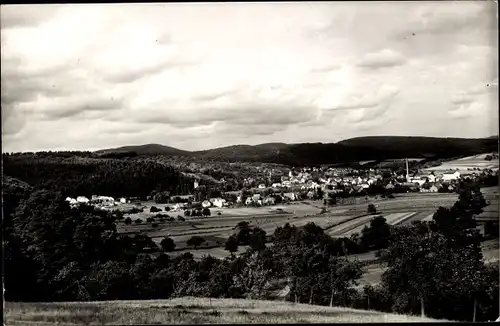 Ak Bammental in Baden, Panorama