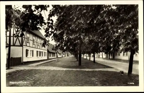 Ak Neudorf Harzgerode am Harz, Ortspartie