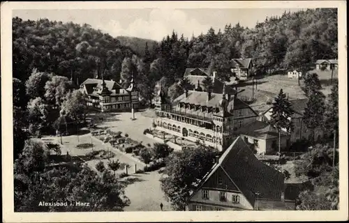 Ak Alexisbad Harzgerode am Harz, Teilansicht mit Rathaus