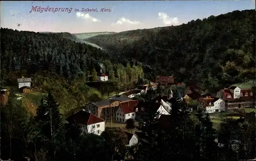 Ak Mägdesprung Harzgerode am Harz, Blick auf den Ort mit Umgebung