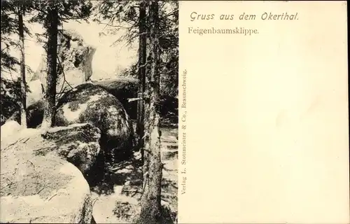 Ak Oker Goslar am Harz, Okertal, Feigenbaumsklippe