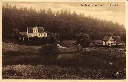 Ak Hahnenklee Bockswiese Goslar im Harz, Teichpartie, Nr. 61002
