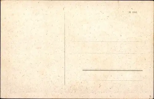 Ak Schielo Harzgerode am Harz, Teilansicht, Wohnhäuser