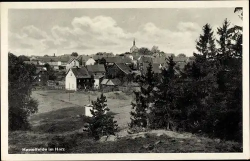 Ak Hasselfelde Oberharz am Brocken, Teilansicht, Kirchturm