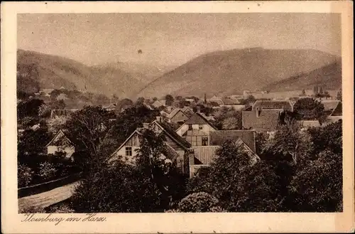 Ak Ilsenburg am Nordharz, Gesamtansicht, Blick über Dächer