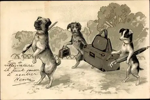Ak drei Hunde auf Reisen mit Koffer