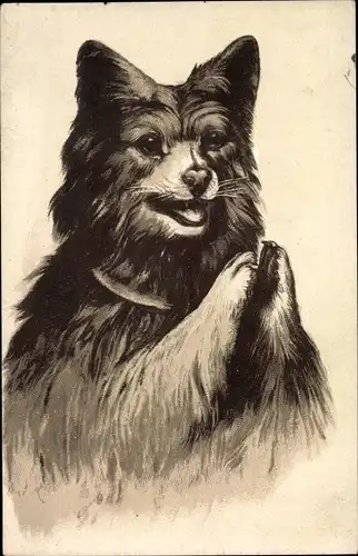 Präge Ak Spitz, Hundeportrait, Bettelnd, Vorderen Pfoten gehoben