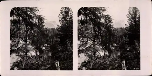 Stereo Foto Ortler Ortles Trafoi Südtirol, Gebirgsansicht, Waldpartie, 1821