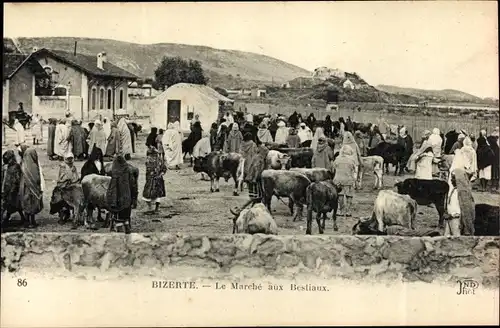 Ak Bizerte Tunesien, Le Marche aux Bestiaux