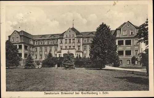 Ak Gryfów Śląski Greiffenberg Schlesien, Sanatorium Birkenhof