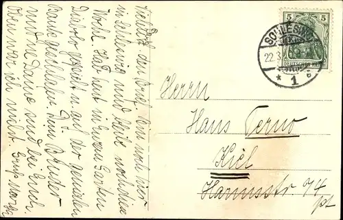 Ak Schleswig, Blauer Teich bei Neuwerk