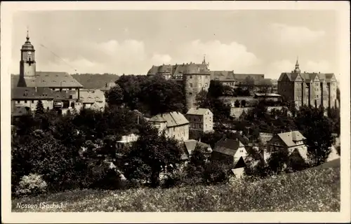 Ak Nossen in Sachsen, Panorama, Schloss
