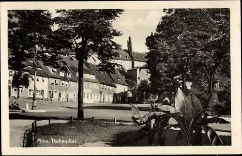 Ak Pirna an der Elbe, Tischerplatz