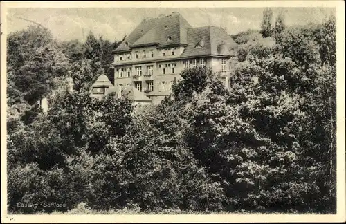 Ak Coswig in Sachsen, Blick zum Schloss