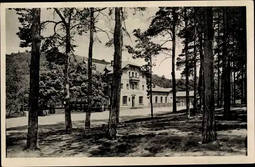 Ak Coswig in Sachsen, Spitzgrundmühle