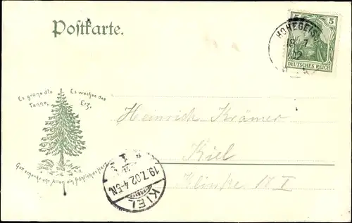 Ak Hohegeiß Braunlage im Oberharz, Partie bei den dicken Tannen