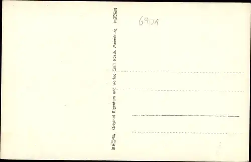 Ak Neckarsteinach in Hessen, Panorama