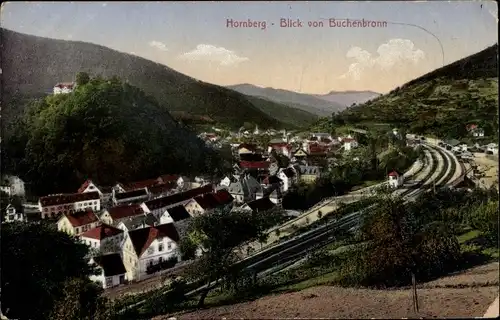 Ak Hornberg im Schwarzwald, Blick vom Buchenbronn