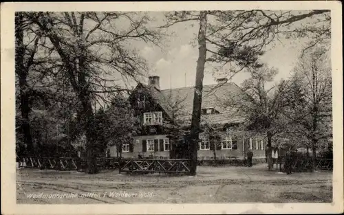 Ak Werdau in Sachsen, Weidmannsruhe im Werdauer Wald