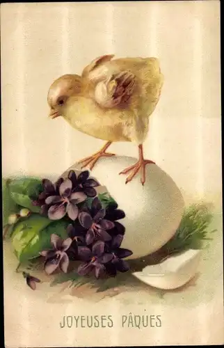 Ak Glückwunsch Ostern, Joyeuses Paques, Küken, Eierschale, Veilchen