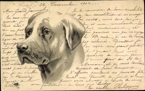 Litho Hundeportrait, Kopf