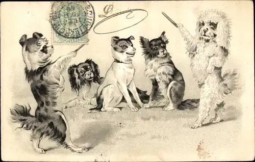 Präge Ak Hunde spielen Ringwurfspiel, auf den Hinterbeinen stehender Pudel