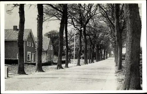 Ak Steenwijk Steenwijkerland Overijssel, Rijksweg Tuk, Allee