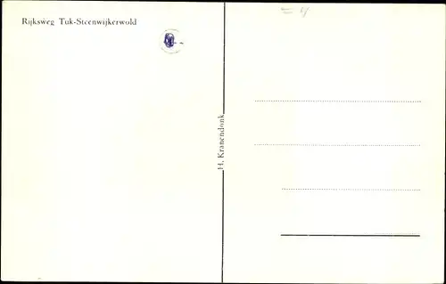 Ak Steenwijk Steenwijkerland Overijssel, Rijksweg Tuk, Allee